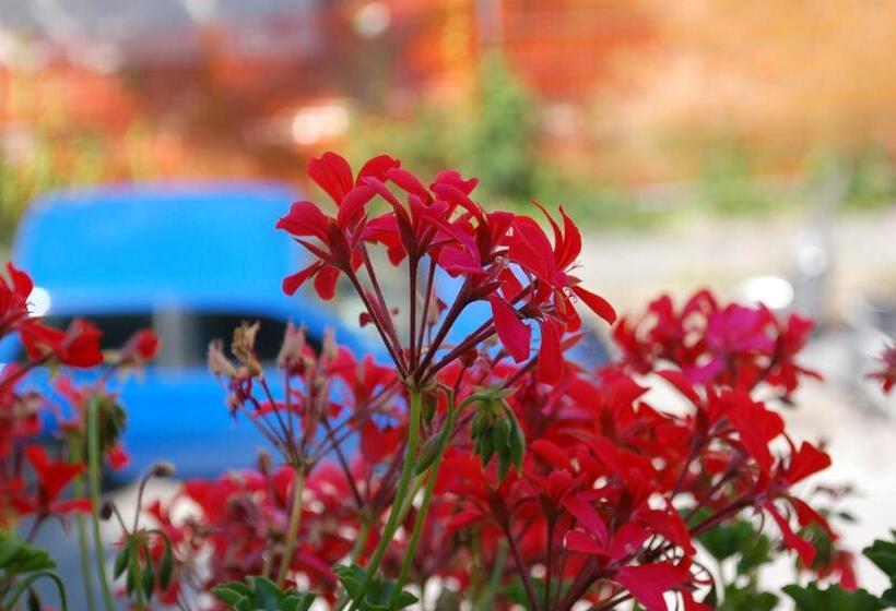 فندق Ristorante La Terrazza