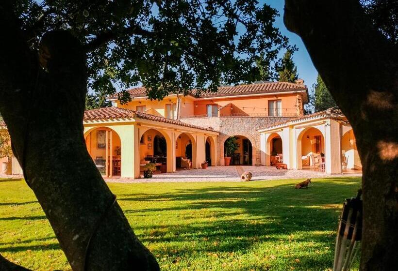 S Arenada Hotel   Adults Only