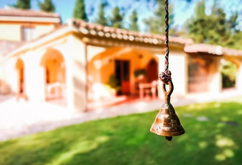 S Arenada Hotel   Adults Only