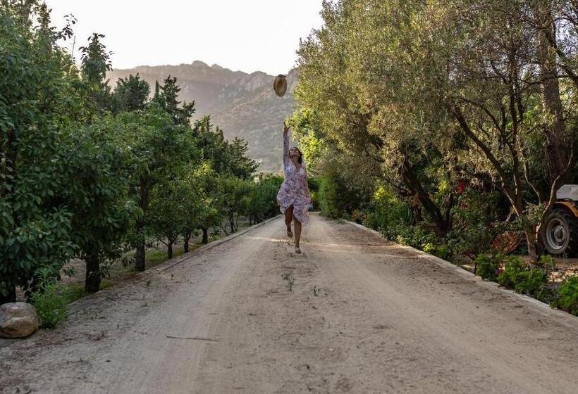 S Arenada Hotel   Adults Only