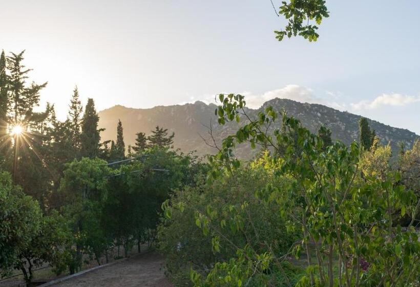 S Arenada Hotel   Adults Only