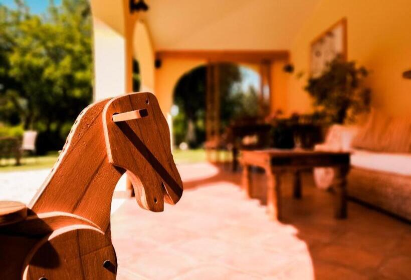 S Arenada Hotel   Adults Only