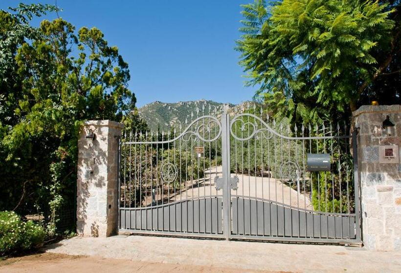 S Arenada Hotel   Adults Only