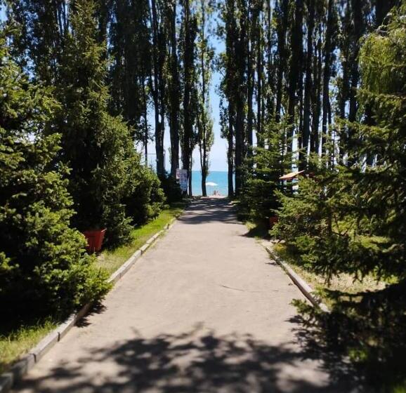 هتل пансионат нептун