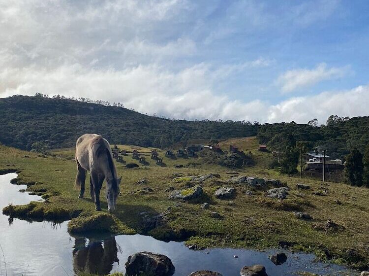 Отель Costão Do Cambará Pousada Fazenda