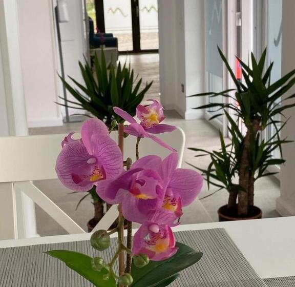 Hotel Pensiunea Mara