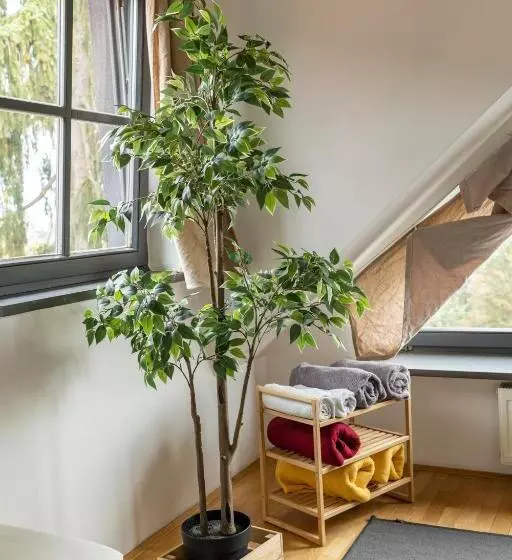 هاستل Cukrarna Guest Accommodation