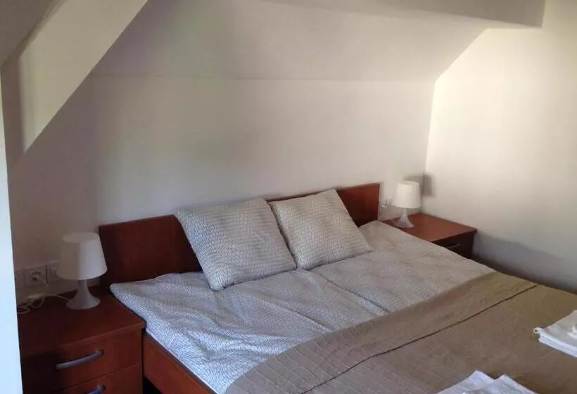 B&b Rot