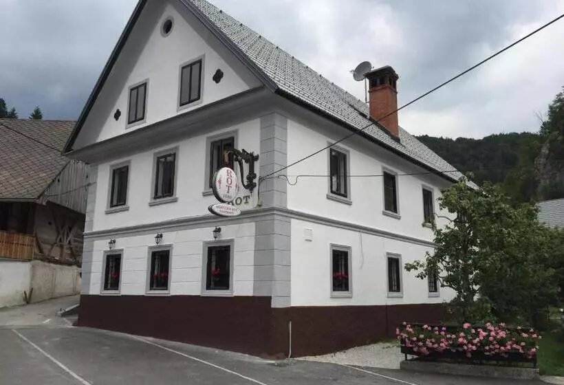 B&b Rot