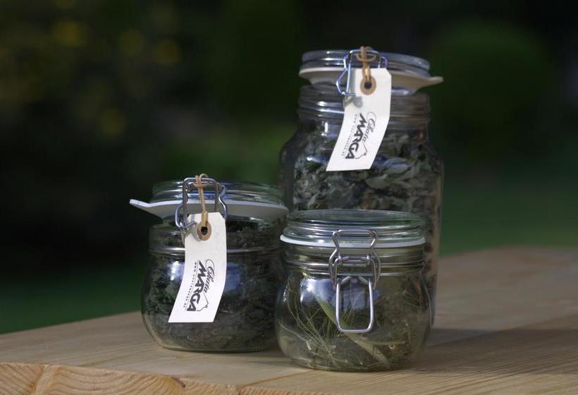 تختخواب و صبحانه Chata Marga