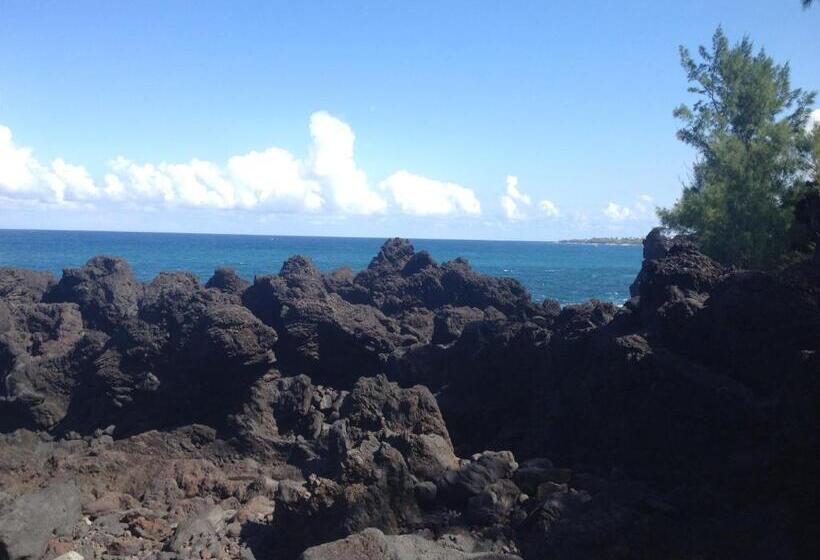 تختخواب و صبحانه La Rose Du Sud