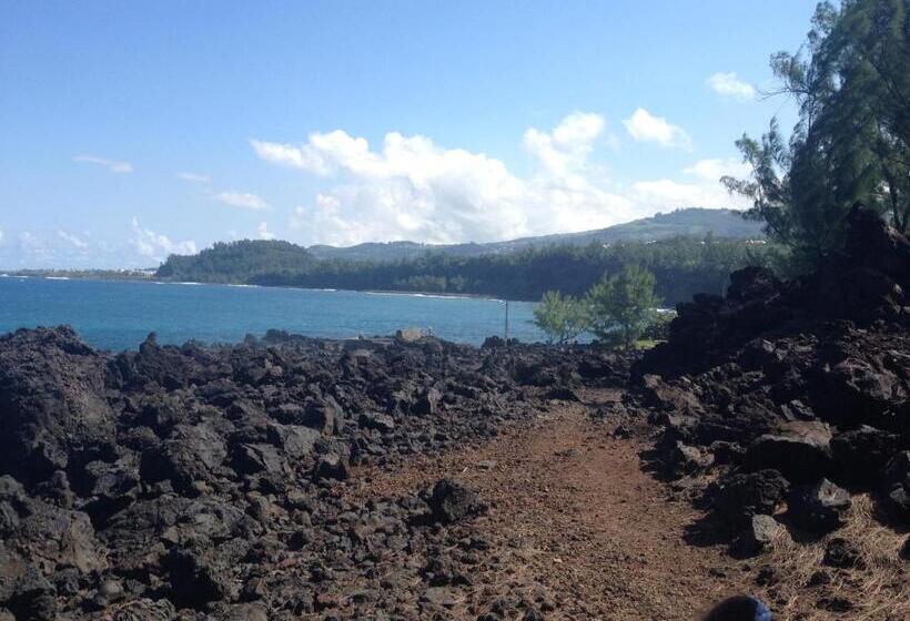 تختخواب و صبحانه La Rose Du Sud