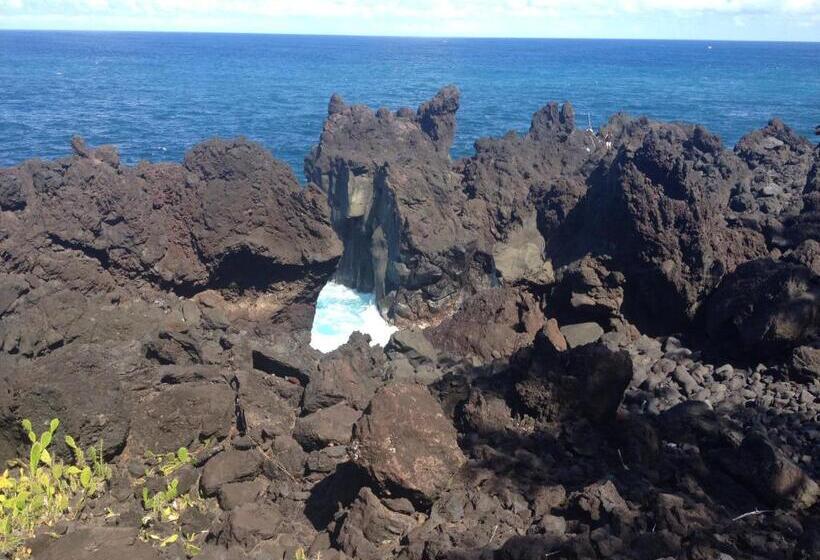 تختخواب و صبحانه La Rose Du Sud