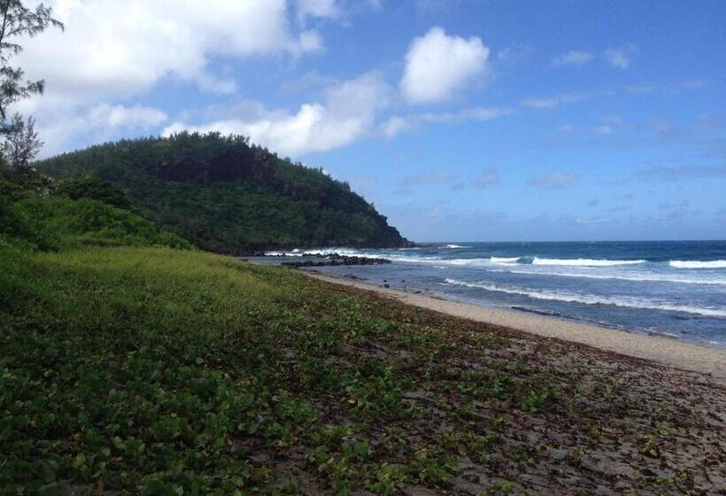 تختخواب و صبحانه La Rose Du Sud