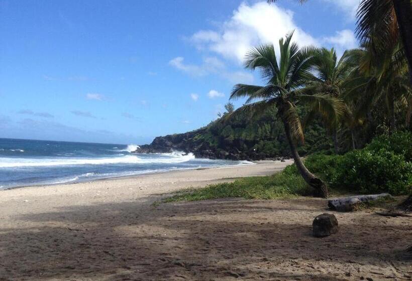 تختخواب و صبحانه La Rose Du Sud