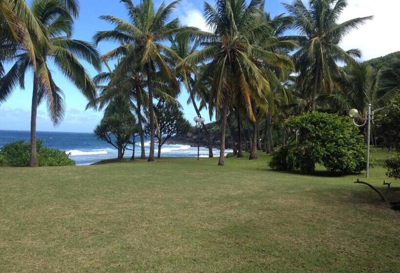 تختخواب و صبحانه La Rose Du Sud