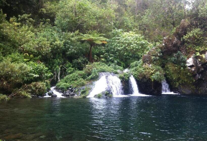 تختخواب و صبحانه La Rose Du Sud