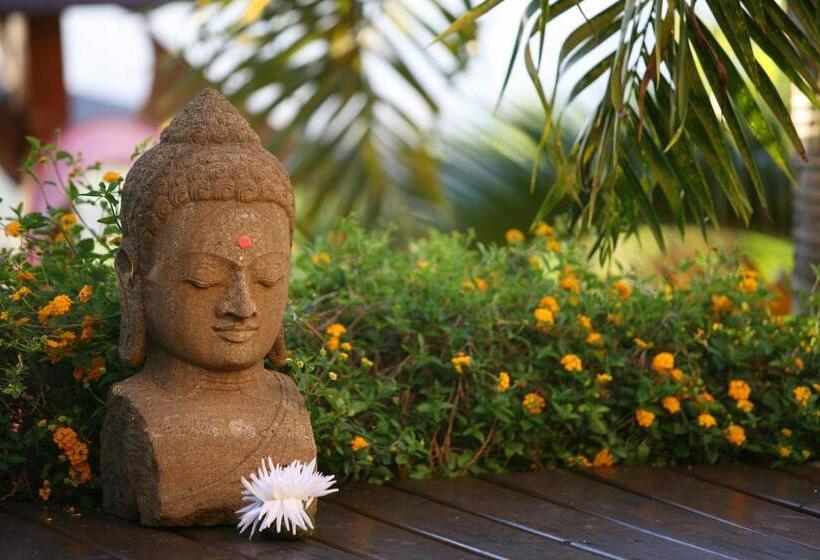 تختخواب و صبحانه La Villa Zen