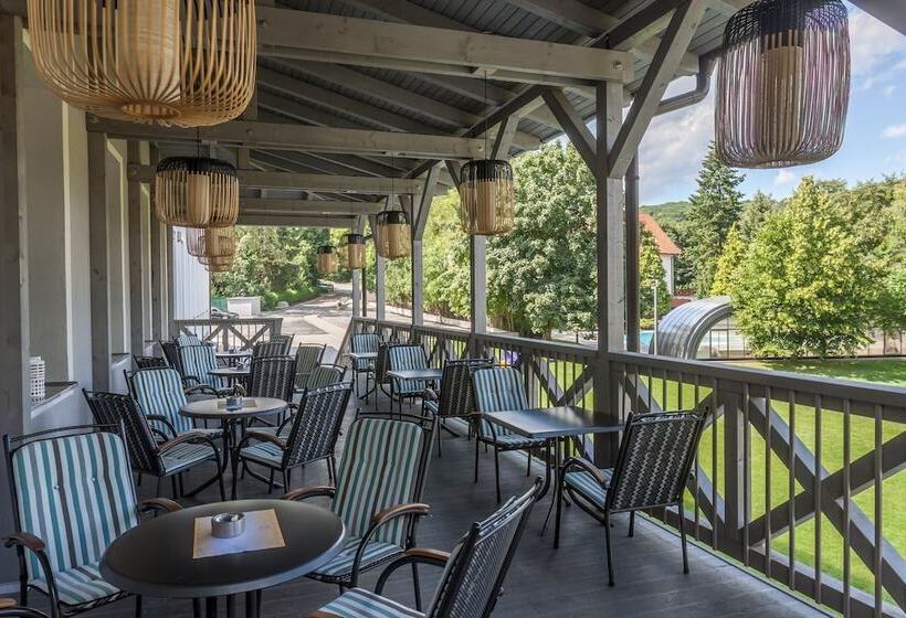 酒店 Pod Lipou Resort