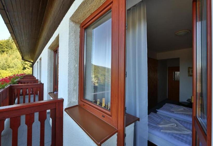 בית מלון כפרי Polianka