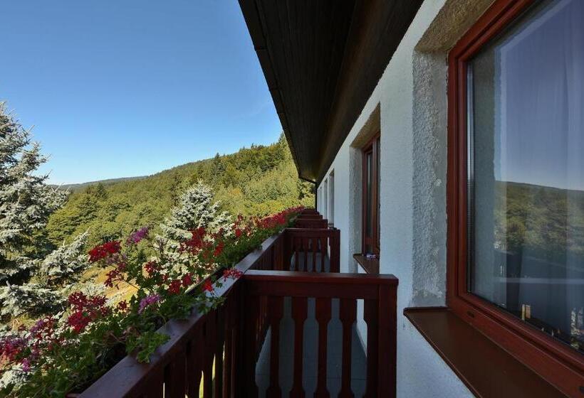 בית מלון כפרי Polianka