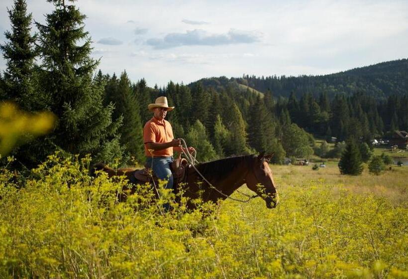 בית מלון כפרי Polianka