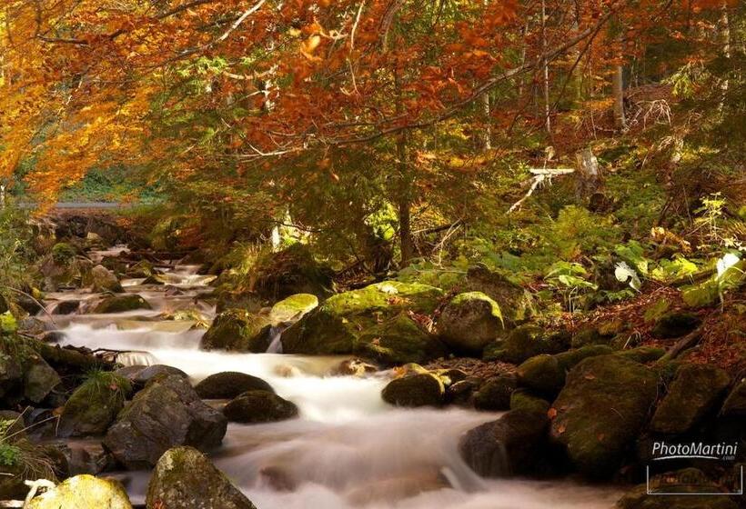 בית מלון כפרי Polianka