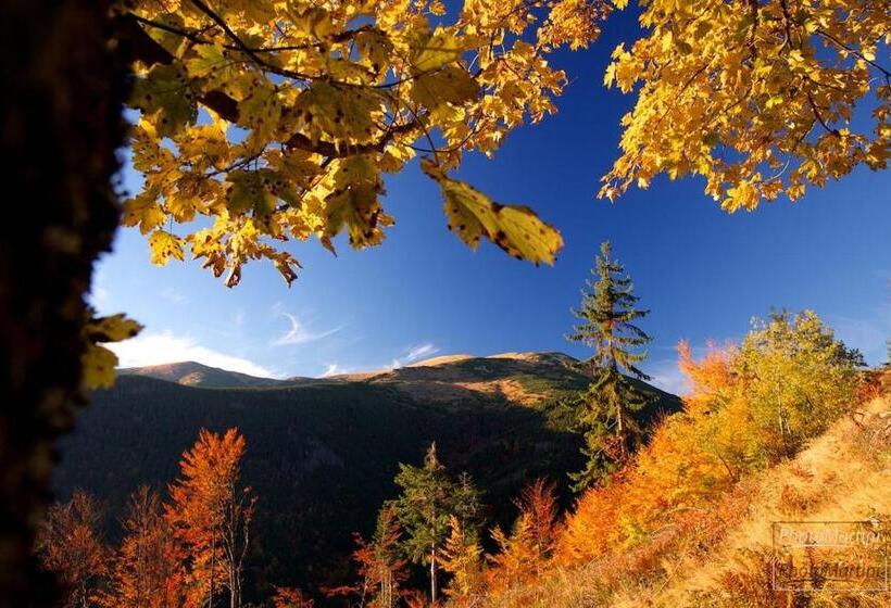 בית מלון כפרי Polianka