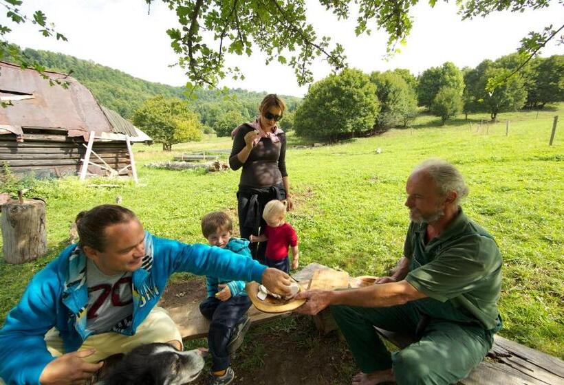 בית מלון כפרי Polianka