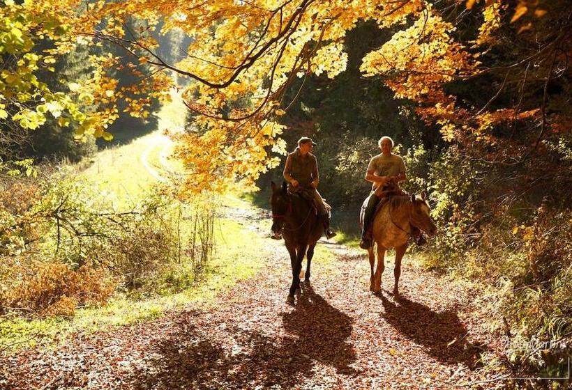 בית מלון כפרי Polianka