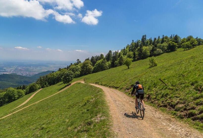 בית מלון כפרי Polianka