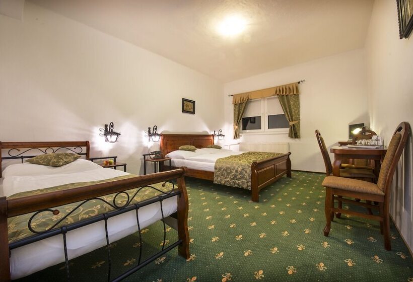 בית מלון כפרי Svatojansky Kastiel