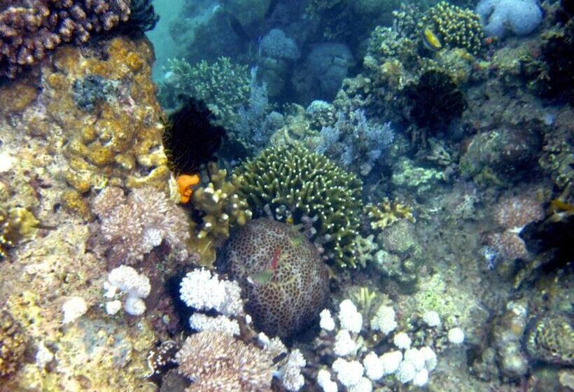 Курорт Vivere Azure