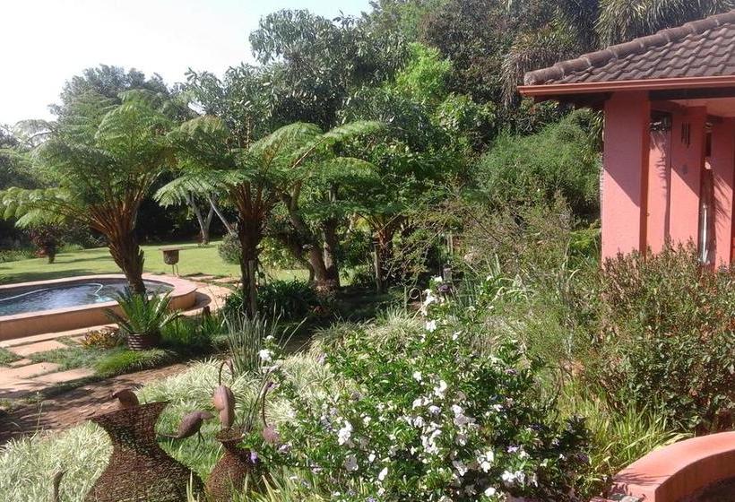 مبيت وإفطار Ambience Inn