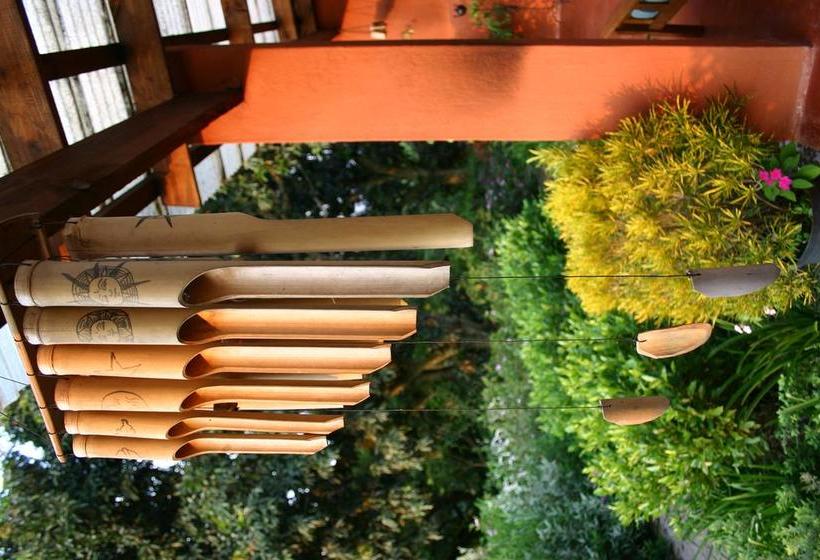 مبيت وإفطار Ambience Inn