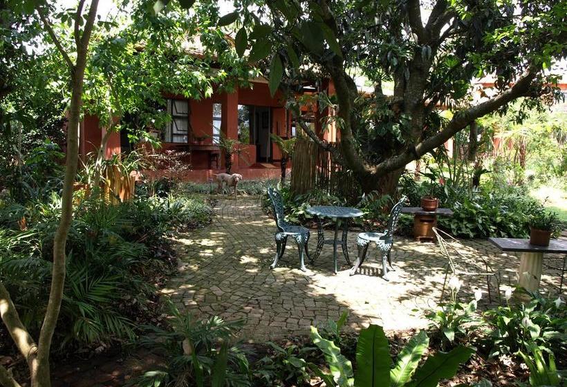 مبيت وإفطار Ambience Inn