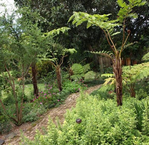 مبيت وإفطار Ambience Inn