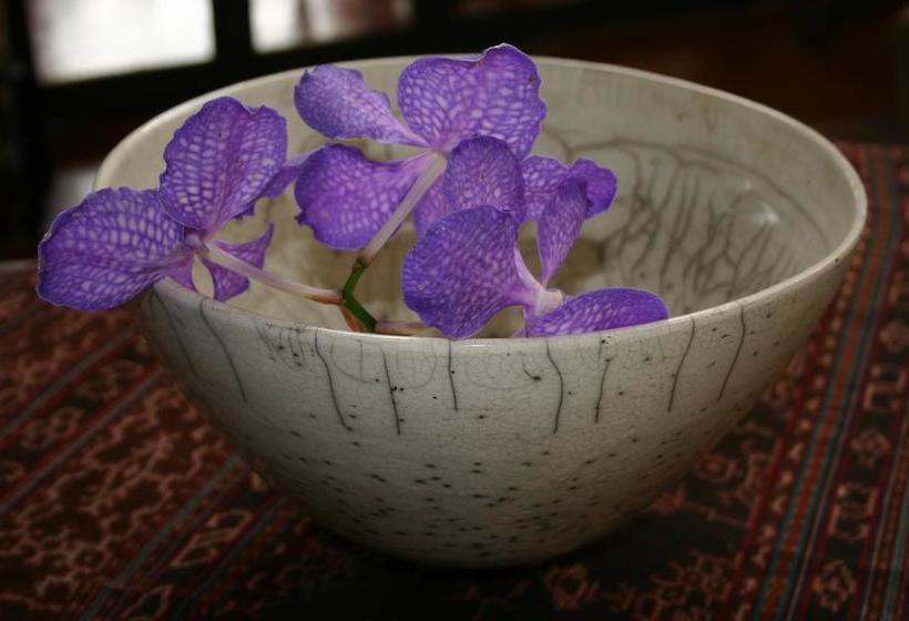 مبيت وإفطار Ambience Inn