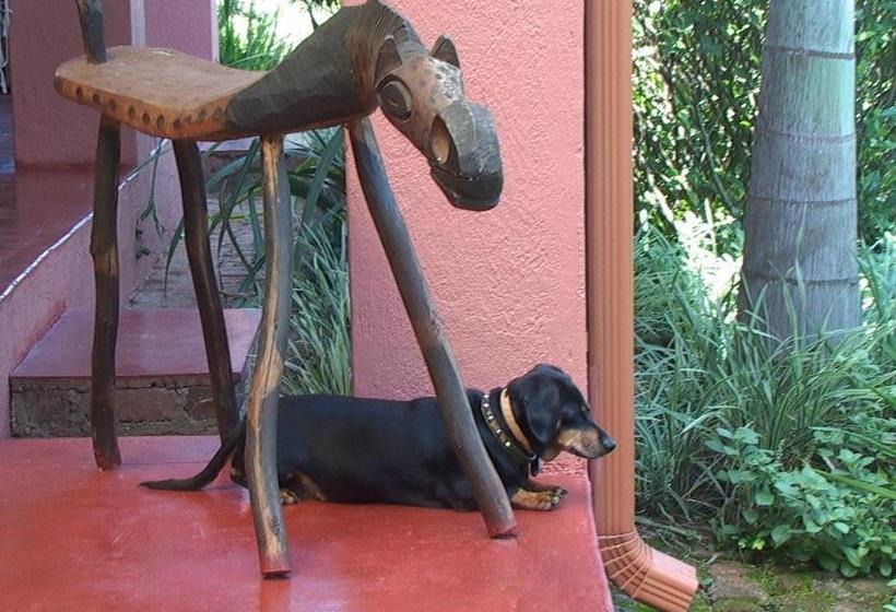 مبيت وإفطار Ambience Inn