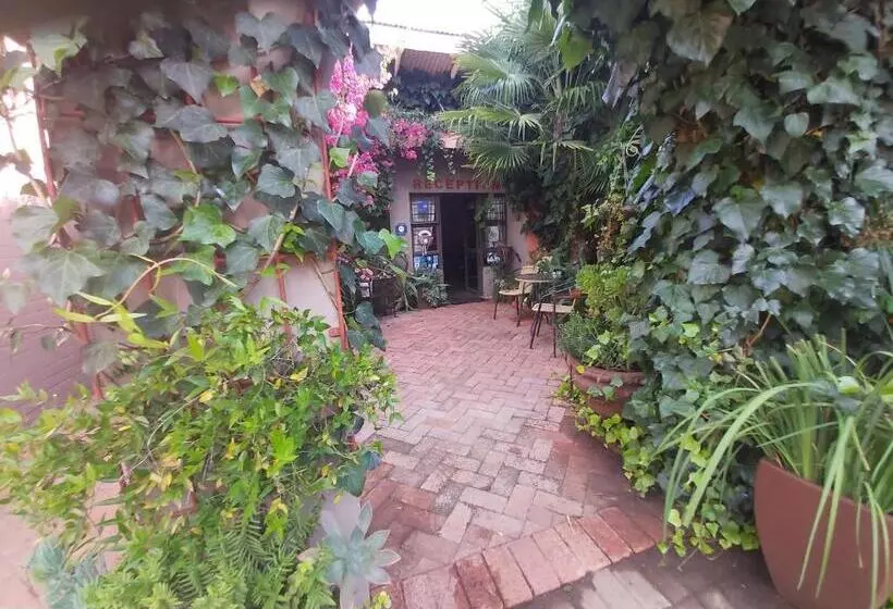 تختخواب و صبحانه Arista Guesthouse