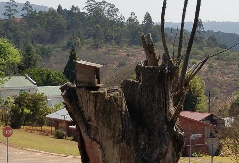 مبيت وإفطار Art Gallery Guest House