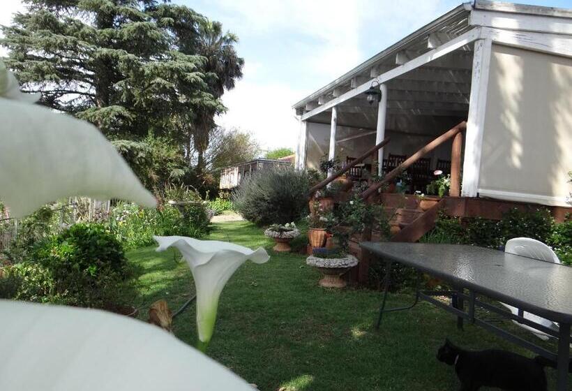 مبيت وإفطار Art Gallery Guest House