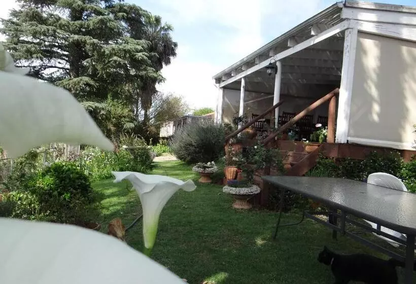 تختخواب و صبحانه Art Gallery Guest House