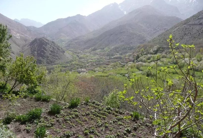 تختخواب و صبحانه Gîte Atlas Mazik