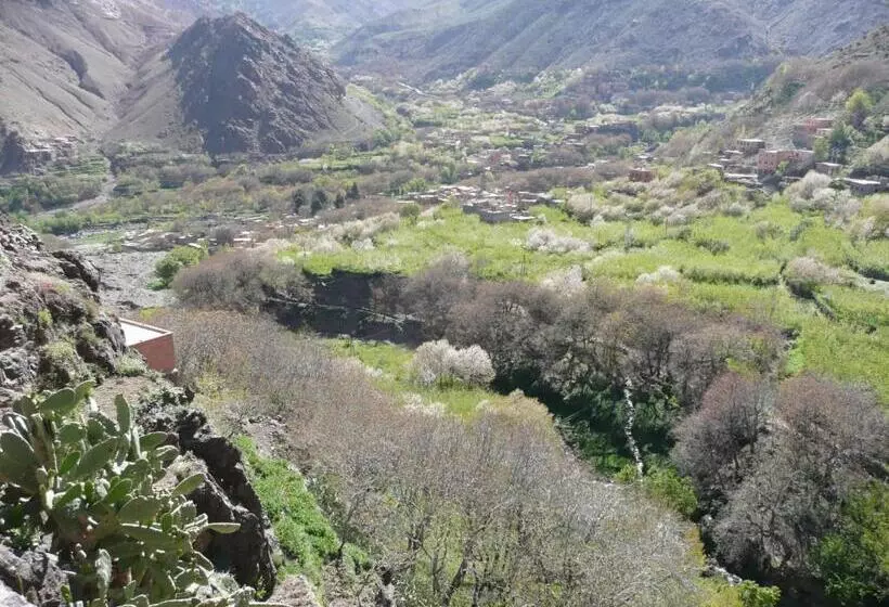 تختخواب و صبحانه Gîte Atlas Mazik