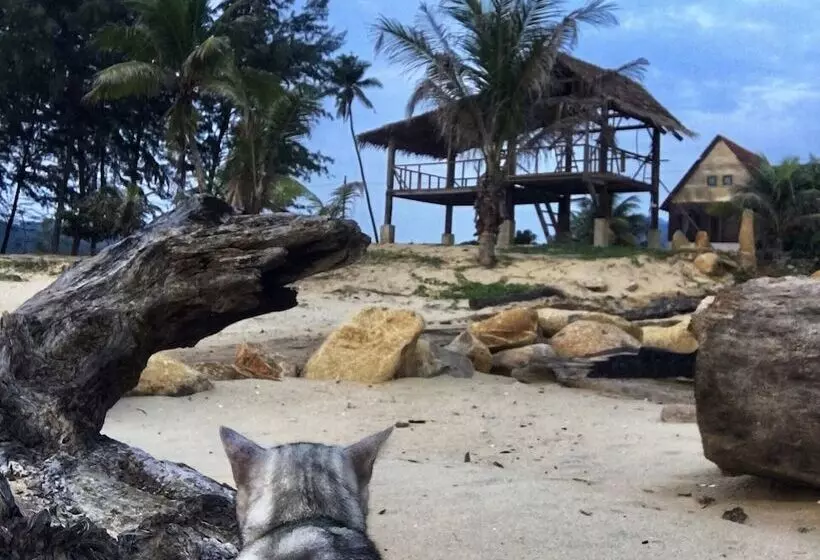 ベッドアンドブレックファースト Kijalena Beach Bnb