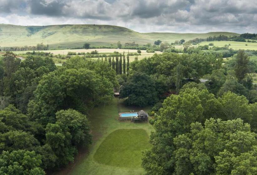 Bed and Breakfast Waterford Manor