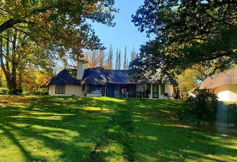 Bed and Breakfast Waterford Manor