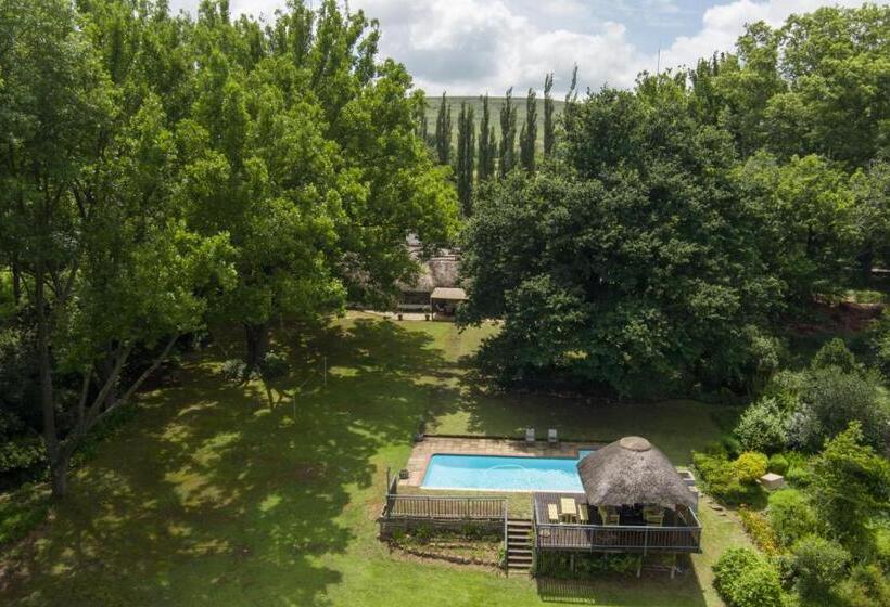 Bed and Breakfast Waterford Manor