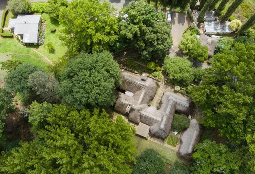 Bed and Breakfast Waterford Manor